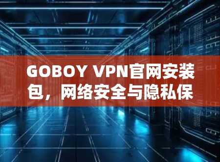 GOBOY VPN官网安装包，网络安全与隐私保护的便捷解决方案