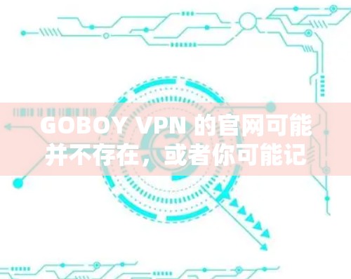 GOBOY VPN 的官网可能并不存在，或者你可能记错了名字。以下是一些常见且可靠的VPN服务提供商的官网链接