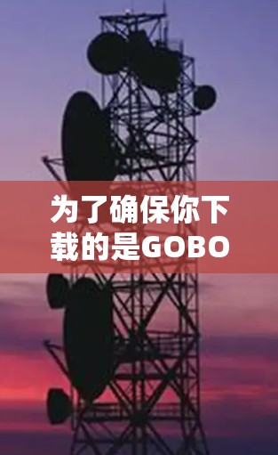 为了确保你下载的是GOBOY VPN的正版软件，请按照以下步骤操作