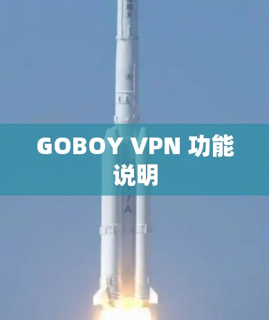 GOBOY VPN 功能说明