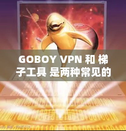 GOBOY VPN 和 梯子工具 是两种常见的网络工具，各有其不同的功能和用途。以下是对这两种工具的简要介绍和使用建议