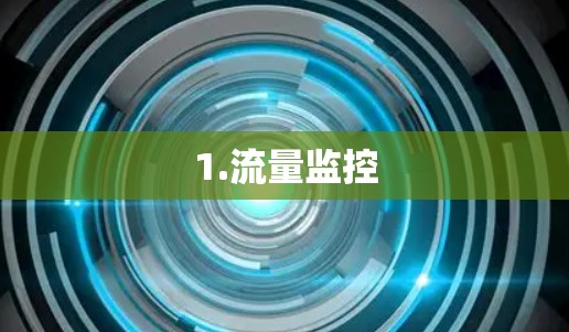 1.流量监控