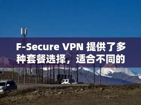 F-Secure VPN 提供了多种套餐选择，适合不同的用户需求。以下是详细的信息和步骤