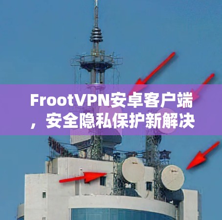 FrootVPN安卓客户端，安全隐私保护新解决方案