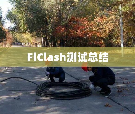 FlClash测试总结