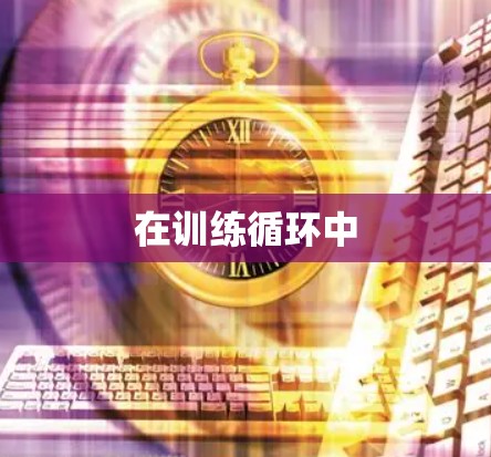 在训练循环中