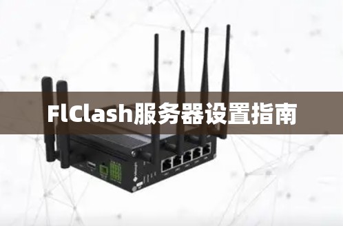 FlClash服务器设置指南