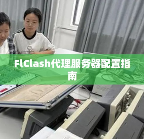 FlClash代理服务器配置指南