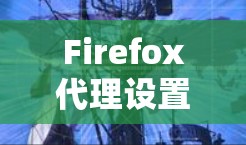 Firefox代理设置与高端软件推荐