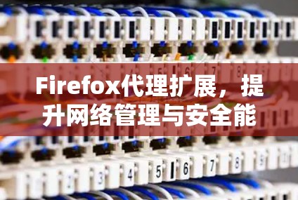 Firefox代理扩展，提升网络管理与安全能力