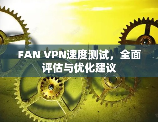 FAN VPN速度测试，全面评估与优化建议