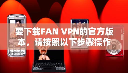 要下载FAN VPN的官方版本，请按照以下步骤操作