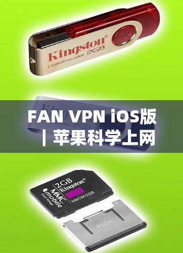 FAN VPN iOS版｜苹果科学上网