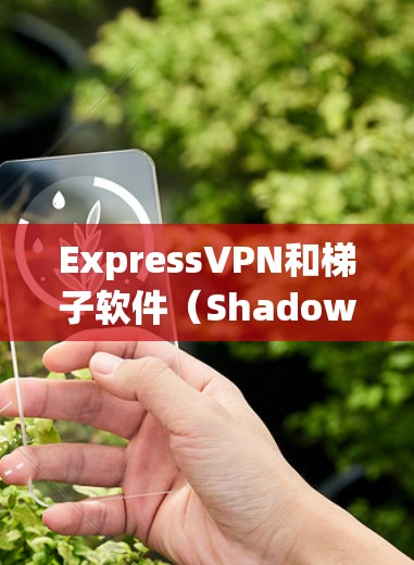 ExpressVPN和梯子软件（Shadowsocks）都是常用的翻墙工具，但它们有不同的特点和适用场景。以下是对它们的对比分析