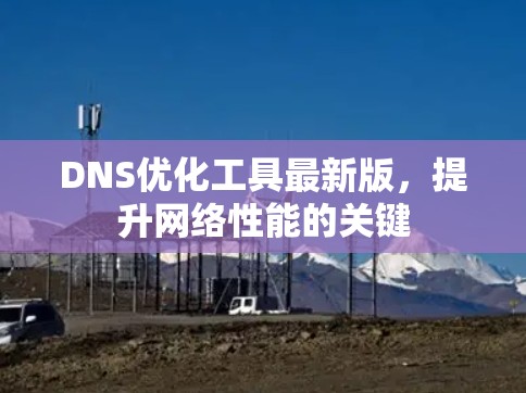 DNS优化工具最新版,提升网络性能的关键 DNS优化工具最新版,提升网络性能的关键