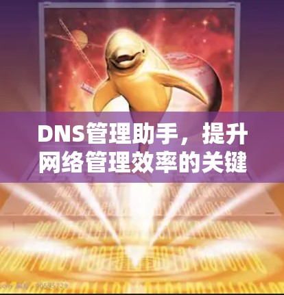 DNS管理助手，提升网络管理效率的关键工具