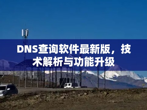 DNS查询软件最新版，技术解析与功能升级