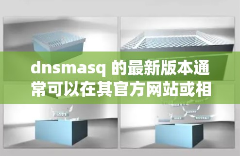 dnsmasq 的最新版本通常可以在其官方网站或相关软件仓库中找到。以下是您可能需要的信息