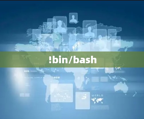 !bin/bash