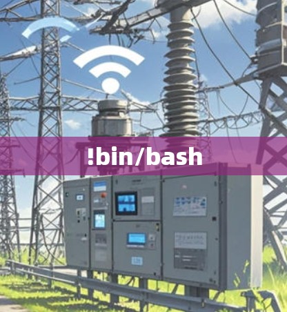 !bin/bash