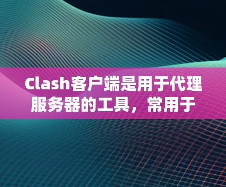 Clash客户端是用于代理服务器的工具，常用于绕过网络限制。以下是详细的设置指南