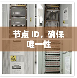 节点 ID，确保唯一性