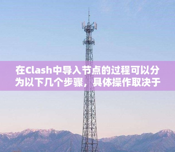 在Clash中导入节点的过程可以分为以下几个步骤，具体操作取决于您是从本地文件还是远程Elasticsearch导入数据
