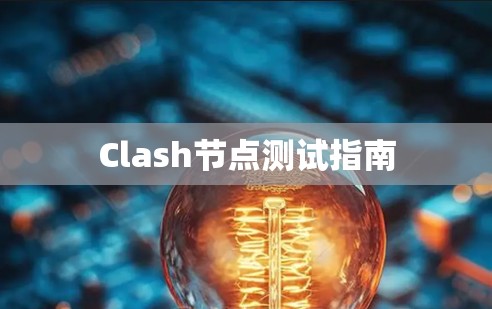 Clash节点测试指南