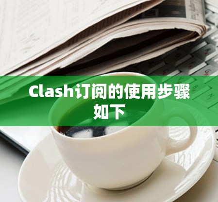 Clash订阅的使用步骤如下
