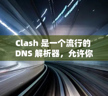 Clash 是一个流行的 DNS 解析器，允许你配置 DNS 记录，包括 MX（邮件交换）NS（域名服务器）A（地址记录）等。以下是如何在 Clash 中配置订阅（DNS 记录）的步骤