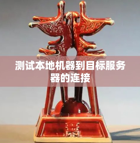 测试本地机器到目标服务器的连接