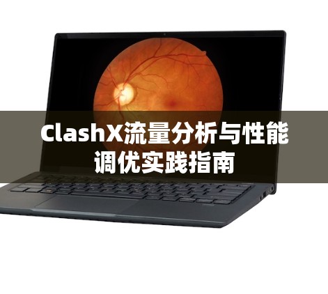ClashX流量分析与性能调优实践指南