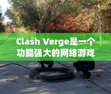 Clash Verge是一个功能强大的网络游戏配置工具，旨在帮助用户优化游戏性能和体验。以下是配置Clash Verge的详细步骤指南
