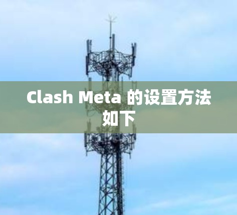 Clash Meta 的设置方法如下