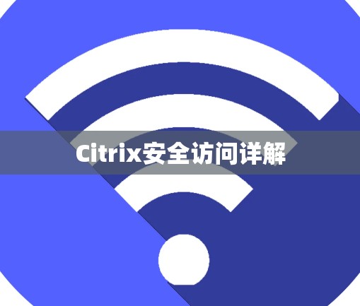 Citrix安全访问详解