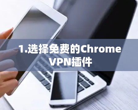 1.选择免费的Chrome VPN插件