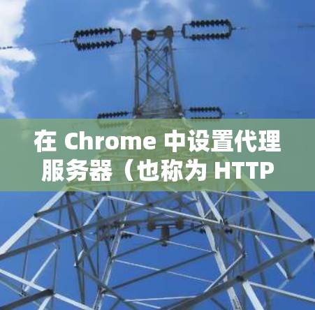 在 Chrome 中设置代理服务器（也称为 HTTP 代理）可以帮助你通过特定的服务器访问网络资源。以下是设置代理服务器的详细指南