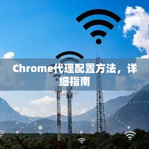 Chrome代理配置方法，详细指南