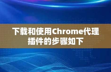 下载和使用Chrome代理插件的步骤如下