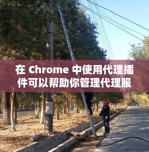 在 Chrome 中使用代理插件可以帮助你管理代理服务器，匿名上网或绕过网络限制。以下是一些常见的代理插件推荐