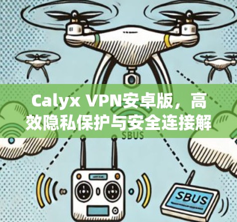 Calyx VPN安卓版，高效隐私保护与安全连接解决方案
