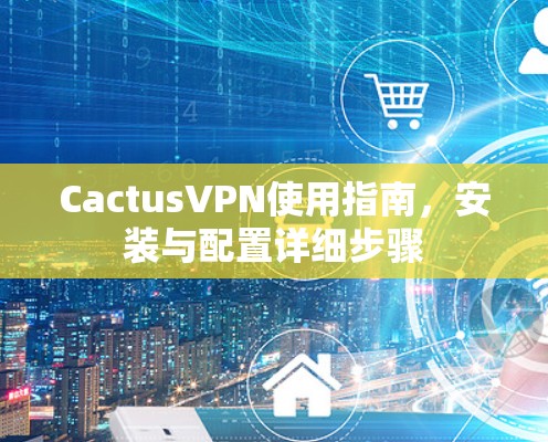 CactusVPN使用指南，安装与配置详细步骤