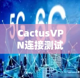 CactusVPN连接测试,确保网络安全与稳定 CactusVPN连接测试,确保网络安全与稳定