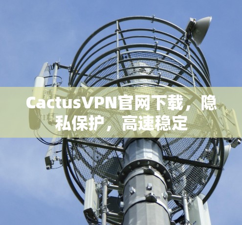 CactusVPN官网下载,隐私保护,高速稳定 CactusVPN官网下载,隐私保护,高速稳定