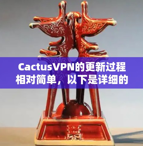 CactusVPN的更新过程相对简单，以下是详细的步骤指南