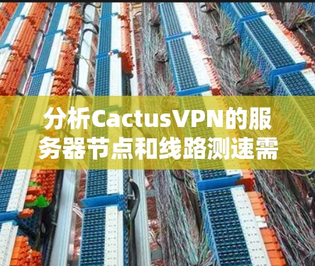 分析CactusVPN的服务器节点和线路测速需要从多个方面进行深入研究,以下是对这一过程的详细总结和建议 分析CactusVPN的服务器节点和线路测速需要从多个方面进行深入研究,以下是对这一过程的详细总结和建议
