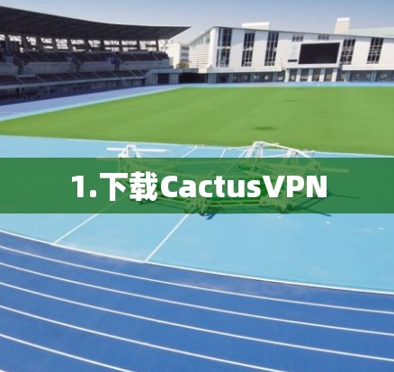 1.下载CactusVPN