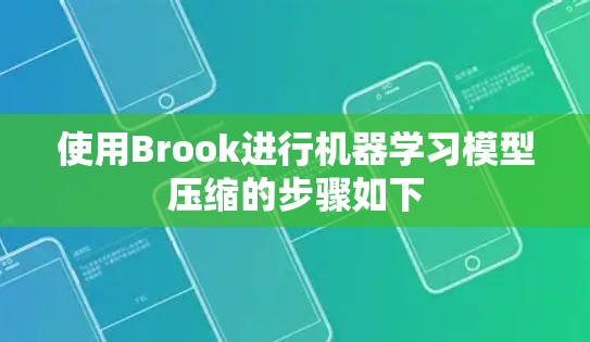 使用Brook进行机器学习模型压缩的步骤如下 使用Brook进行机器学习模型压缩的步骤如下