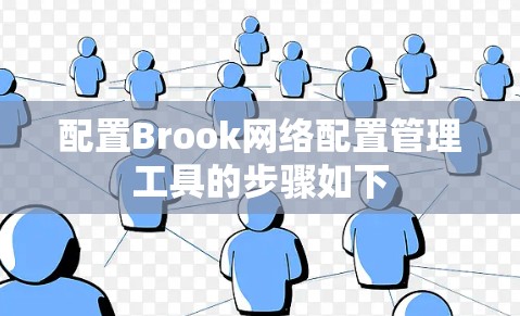 配置Brook网络配置管理工具的步骤如下 配置Brook网络配置管理工具的步骤如下