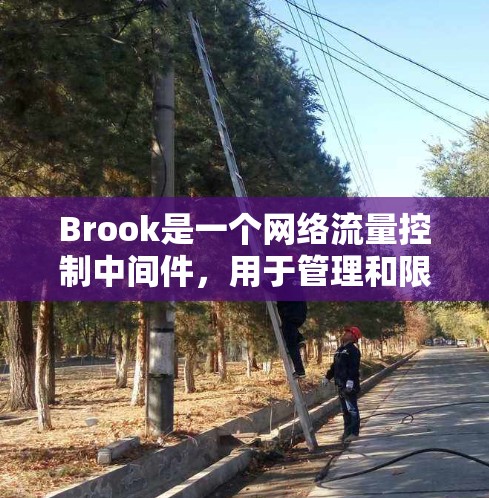 Brook是一个网络流量控制中间件，用于管理和限制网络流量。以下是设置Brook规则的基本步骤和常见配置方法